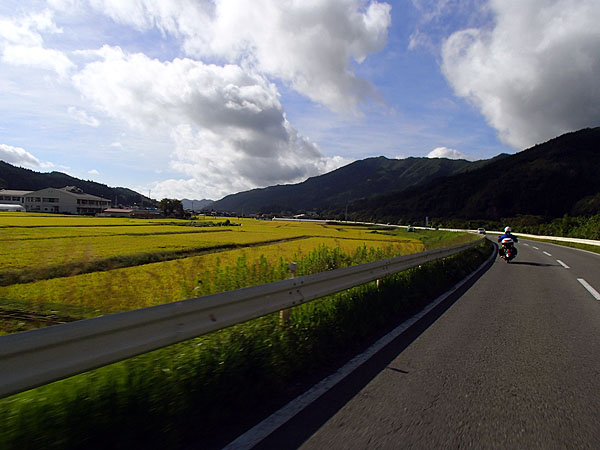 国道３４０号線